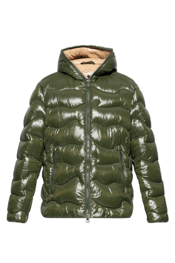 Insulated jacket "Chet" od Save The Duck