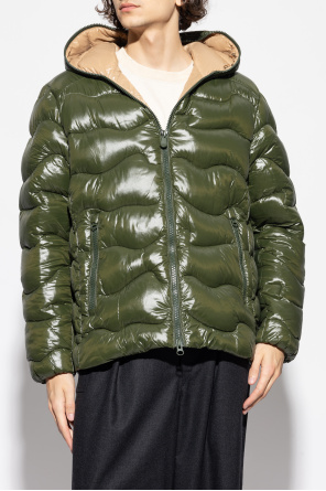 Save The Duck Chaqueta acolchada "Chet"