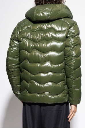 Save The Duck Chaqueta acolchada "Chet"