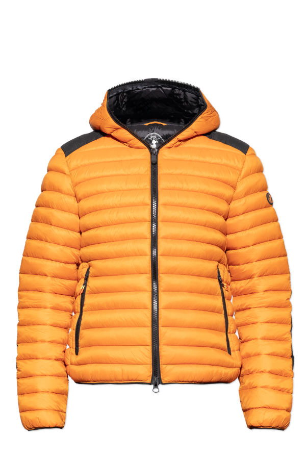 Insulated jacket Jelep` od Save The Duck