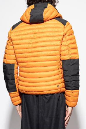 Save The Duck Chaqueta acolchada Jelep