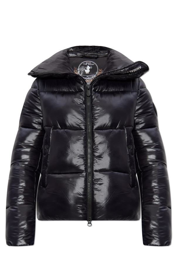 Insulated jacket "Isla" od Save The Duck