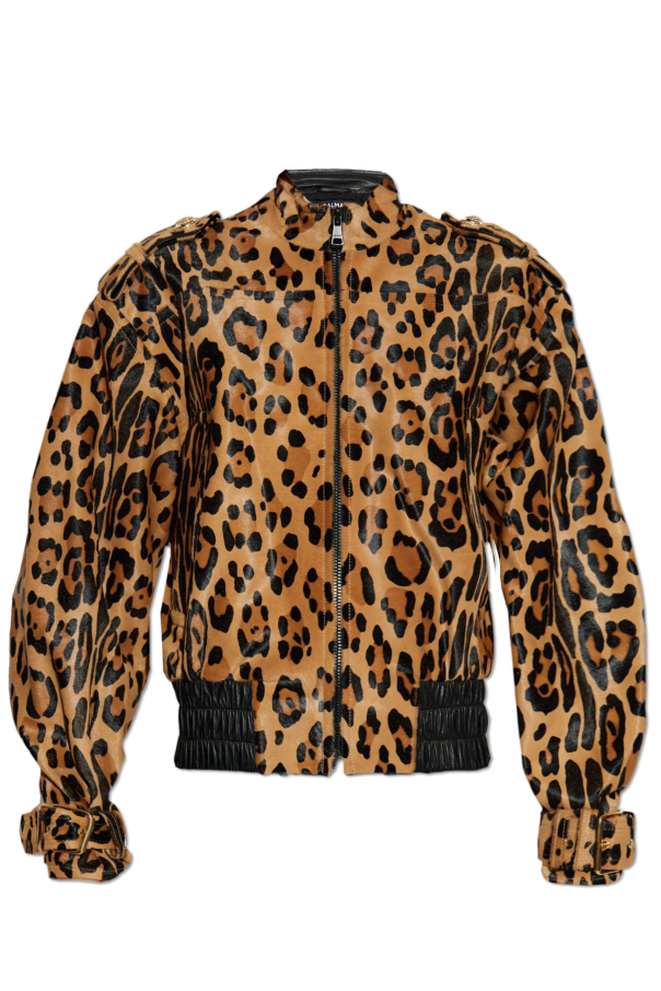 Jacket with animal print od Balmain