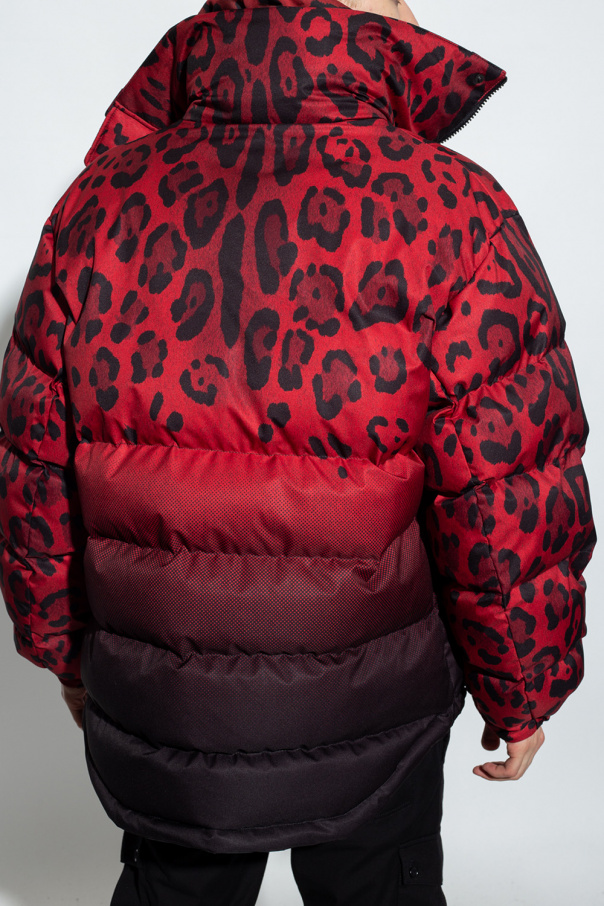 Dolce & Gabbana Insulated reversible jacket