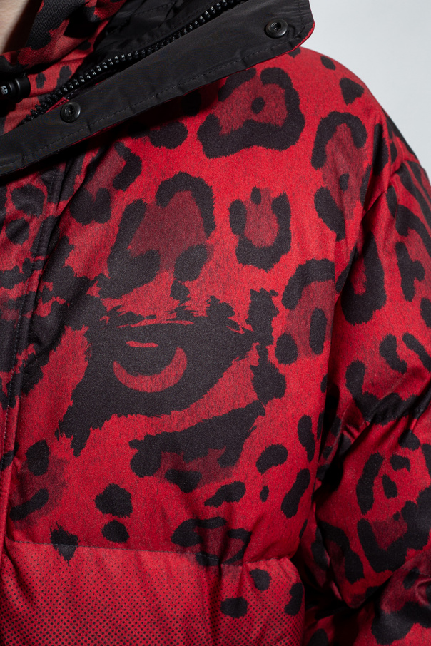 Dolce & Gabbana Insulated reversible jacket