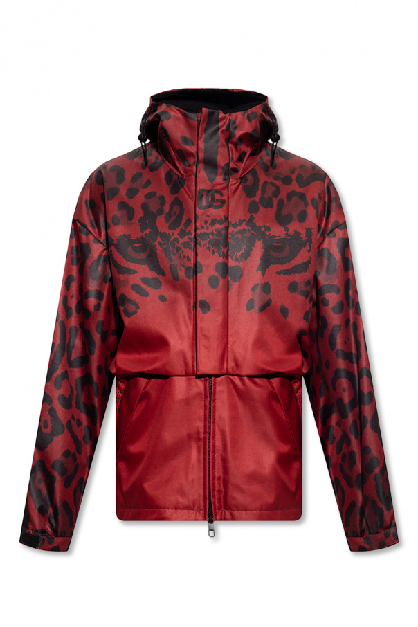 Dolce & Gabbana Kids classic bomber jacket Jacket with animal motif