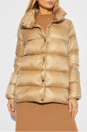 Moncler Jacket Cochevis