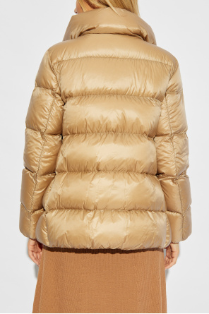 Moncler Jacket Cochevis