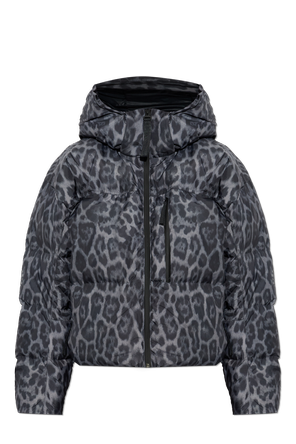 Insulated Jacket with Detachable Hood