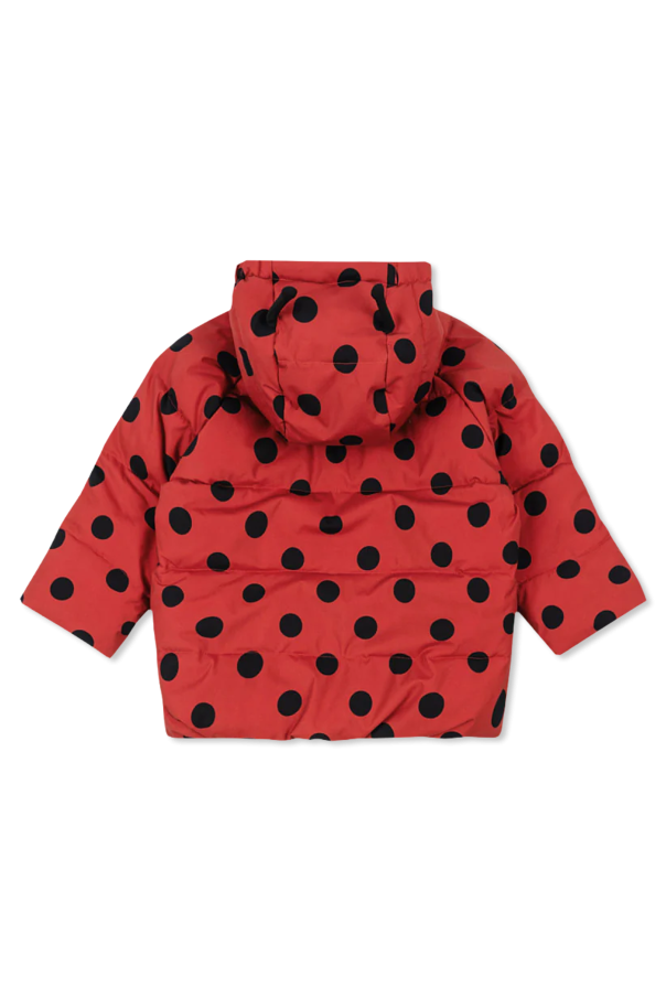 Konges Sløjd Insulated jacket