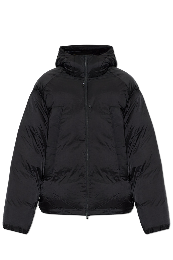 Padded hooded jacket od Y-3