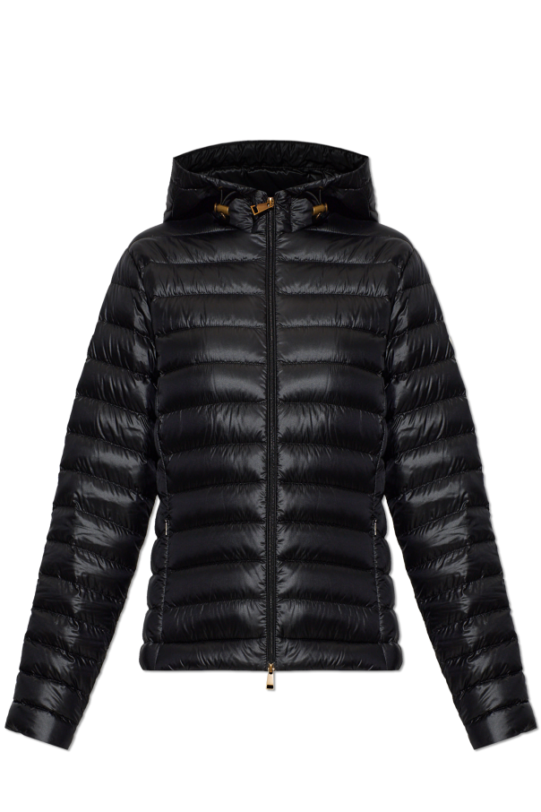 Quilted jacket ‘Igelhood’ od Moncler