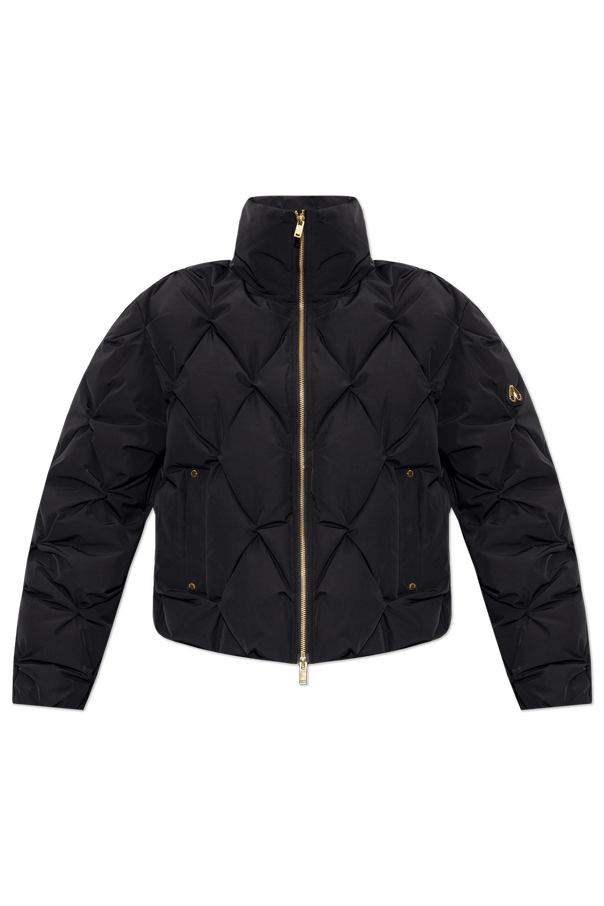 Padded jacket with stand-up collar od Moose Knuckles