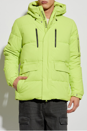 Save The Duck Insulated jacket Alter