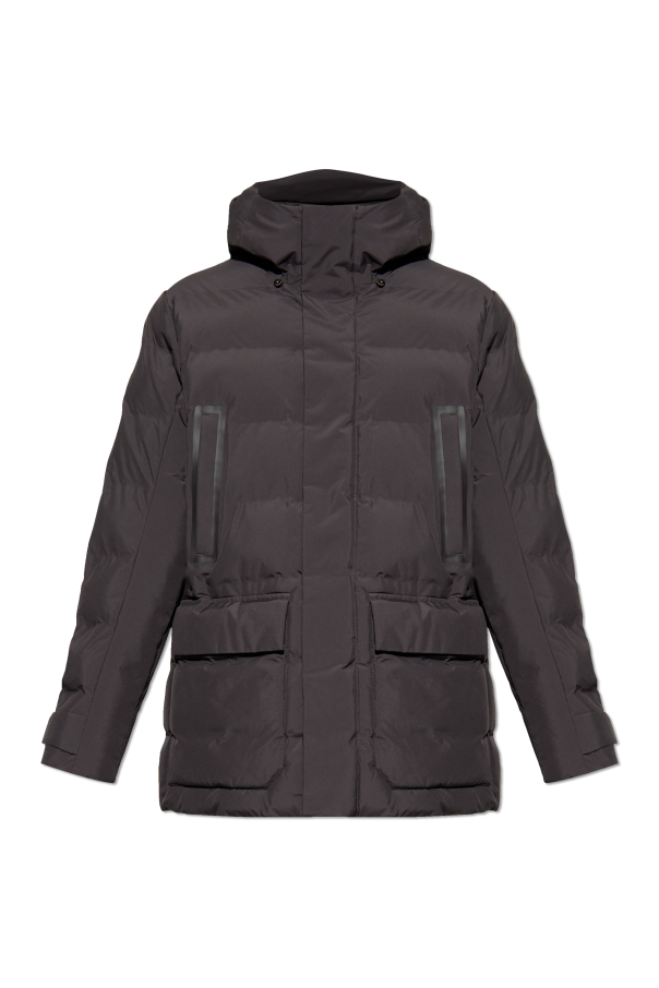 Quilted jacket "Quinlan" od Save The Duck