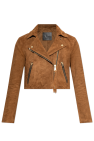 AllSaints BROWN Leather Jacket Dalby