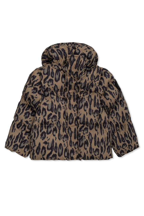 Insulated jacket with hood od Stella McCartney Kids