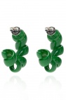 Bottega Veneta GREEN Silver earrings