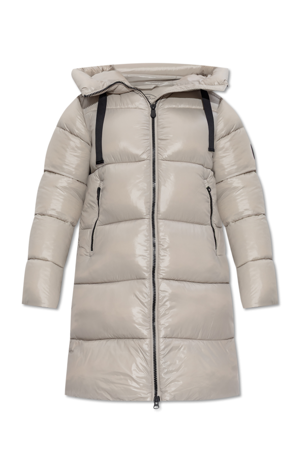 Insulated jacket "Isabel" od Save The Duck
