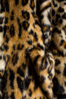 Dsquared2 Coat with leopard print