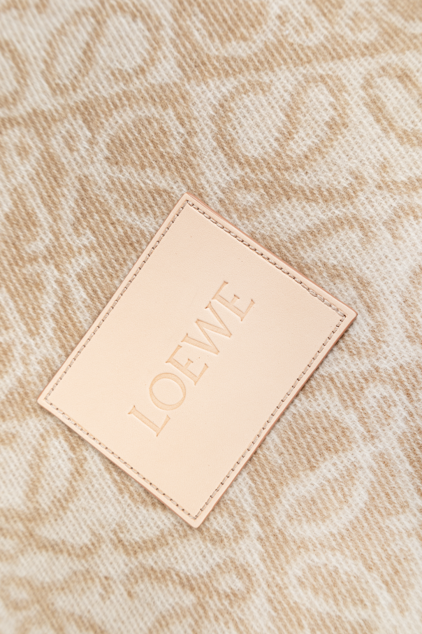 Loewe Monogram cushion