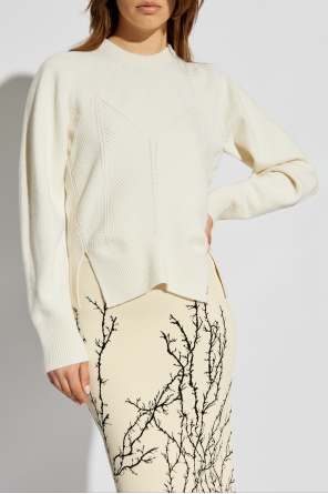 Alexander McQueen Sweater with a touch of cashmere