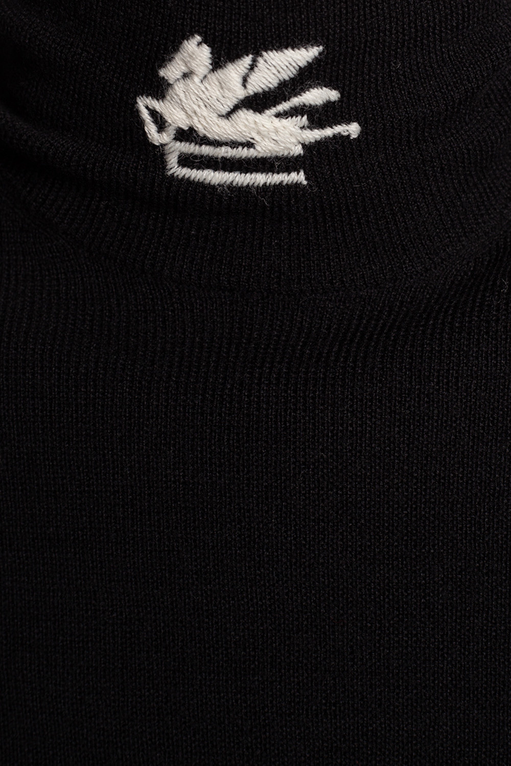 Etro Wool turtleneck sweater with logo