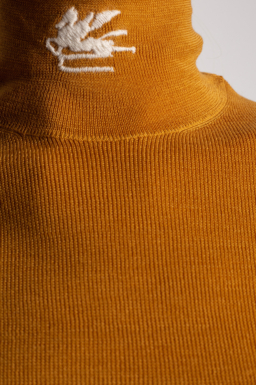 Etro Turtleneck sweater with logo