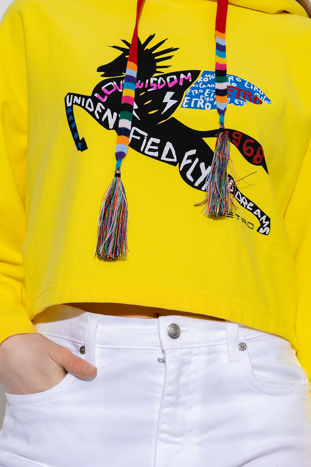 Etro Cropped hoodie with logo