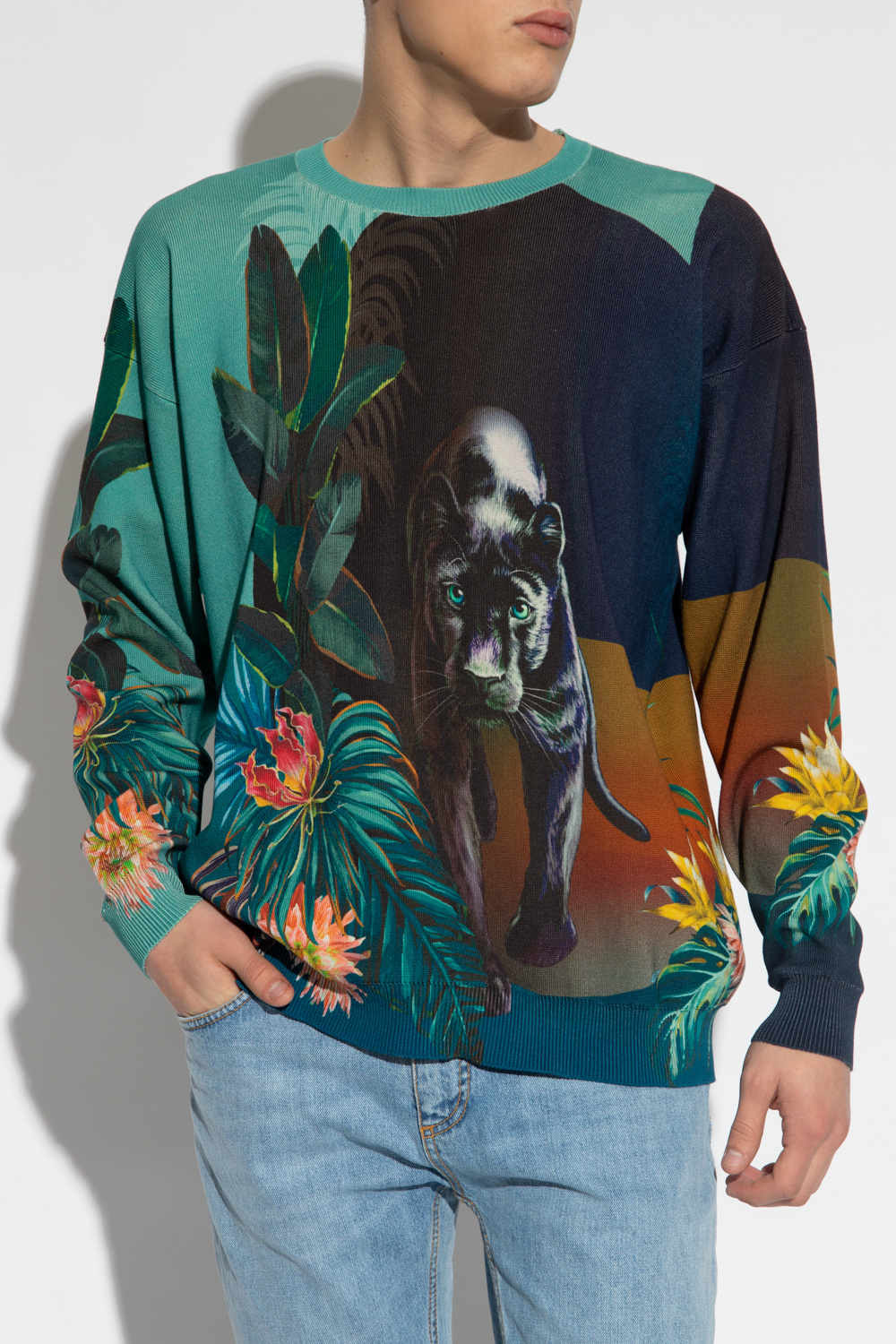 Etro Sweater with animal motif