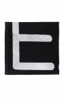 EA7 Emporio Armani Towel with logo