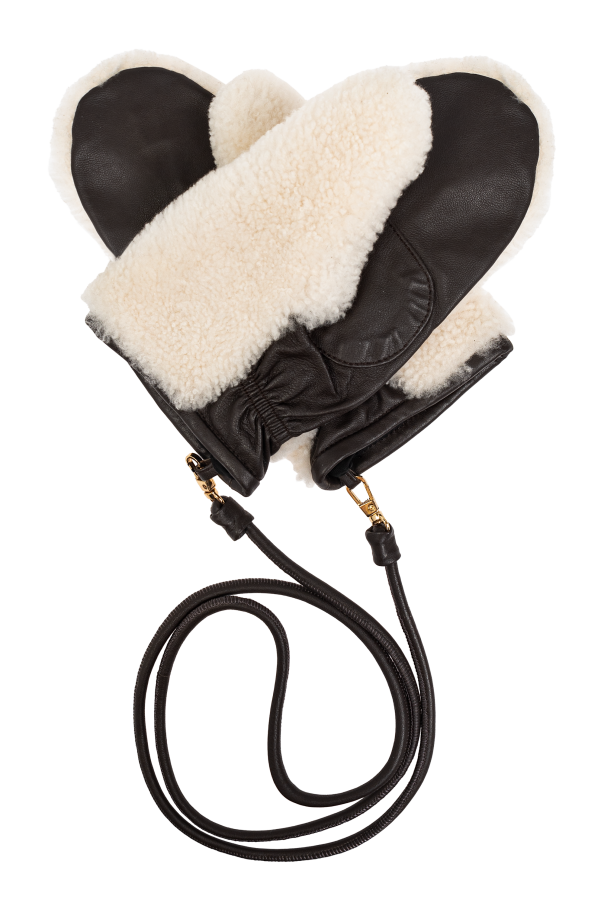 Yves Salomon Leather gloves