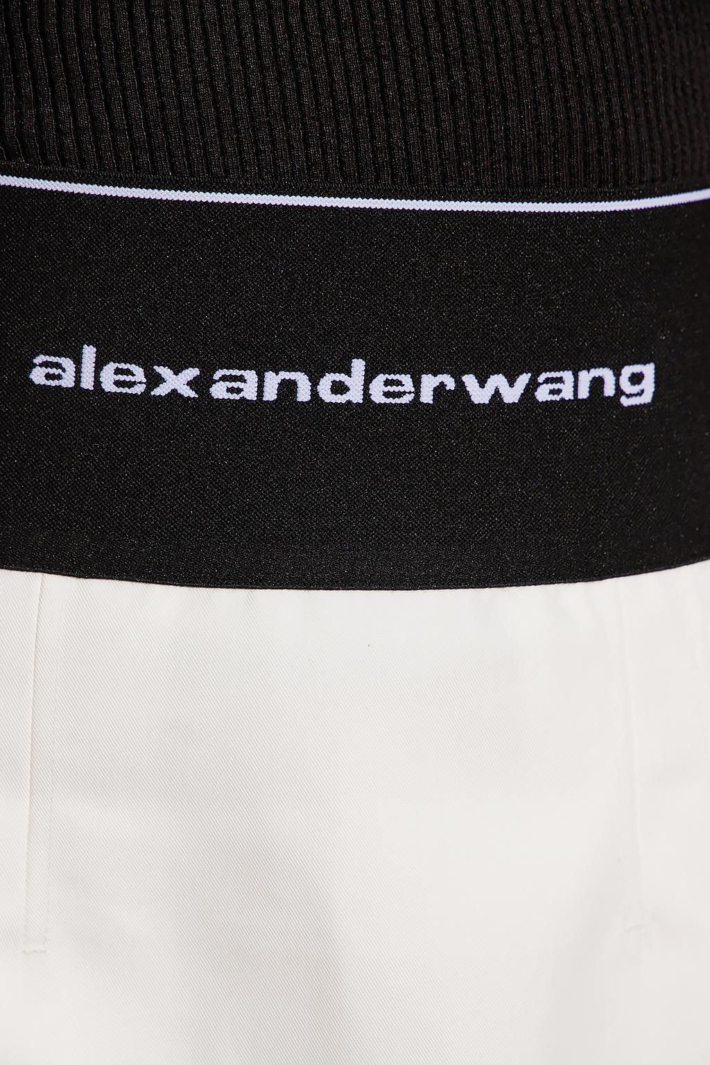 Alexander Wang Enter the world