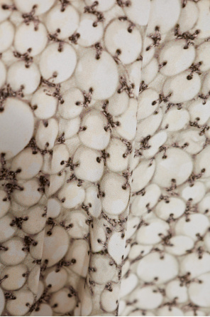 Isabel Marant Skirt "Hortensia"