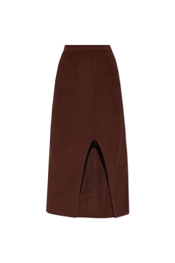 Aeron Skirt Delos