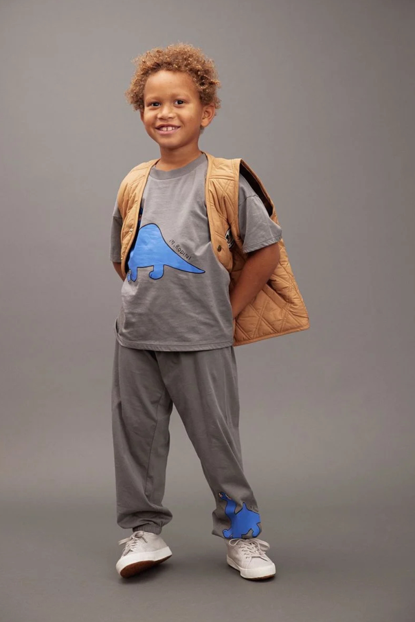 Mini Rodini Pantalones "Dino"