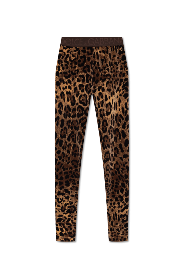 Leggings with leopard print od Dolce & Gabbana