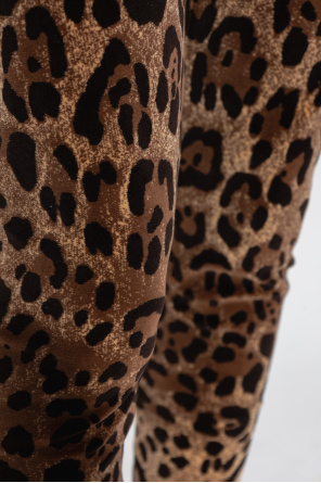 Dolce & Gabbana Leggings with leopard print