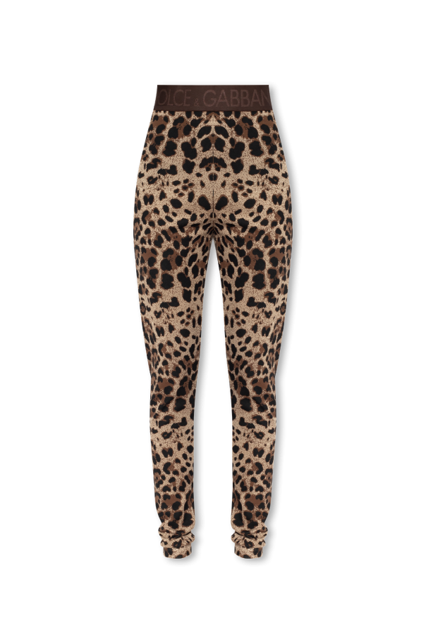 Leopard print leggings od Dolce & Gabbana
