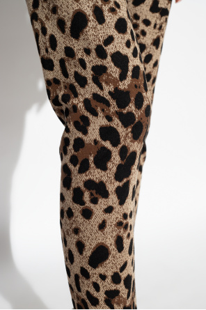 Dolce & Gabbana Leopard print leggings