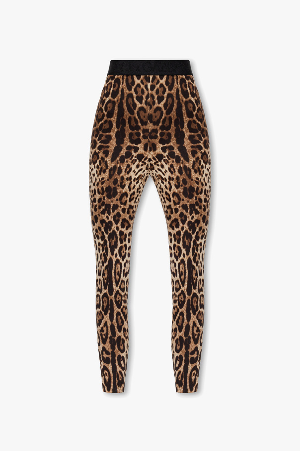 Dolce & Gabbana Spodnie z motywem zwierzęcym