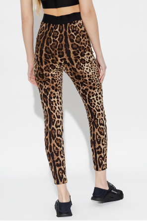 Dolce & Gabbana Spodnie z motywem zwierzęcym