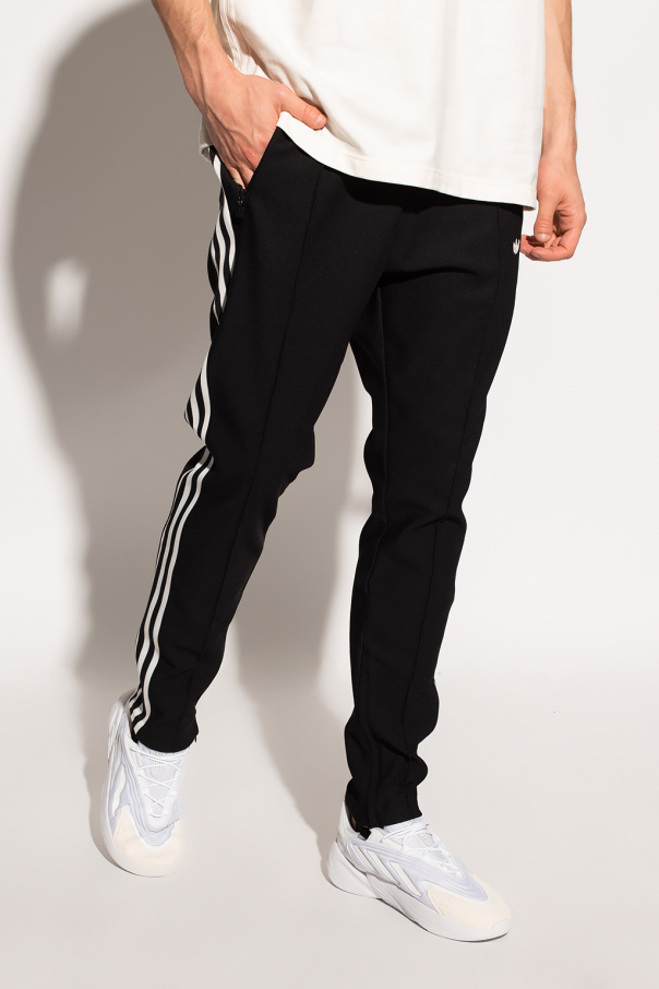 adidas w ver pant