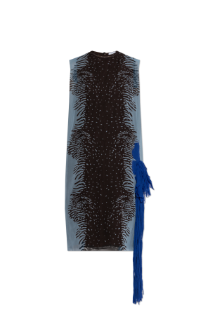 Silk dress with decorative fringes