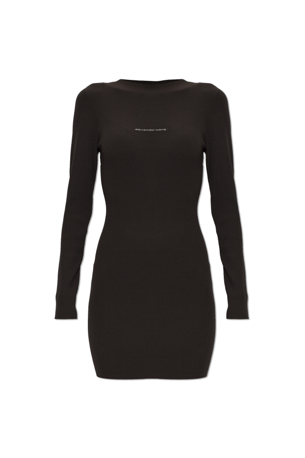 Long sleeve dress od Alexander Wang