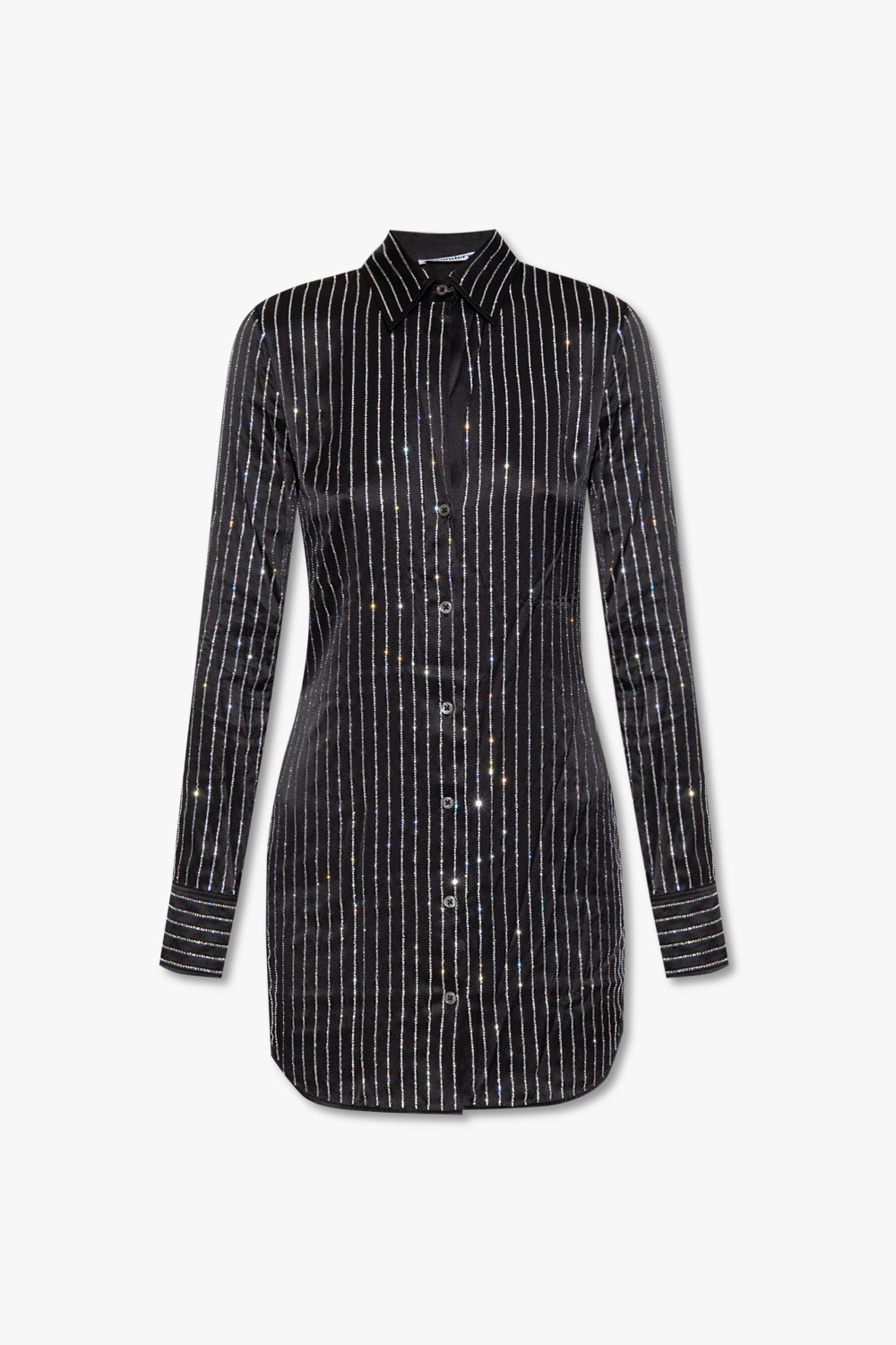 Alexander Wang Silk shirt dress