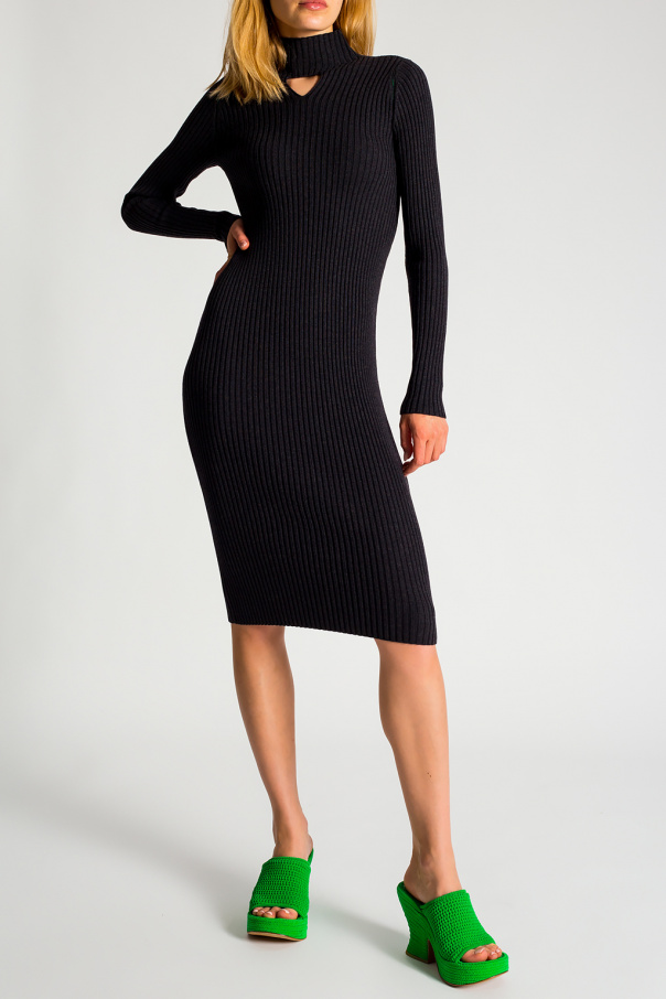 Bottega Veneta Fitted dress with mock neck