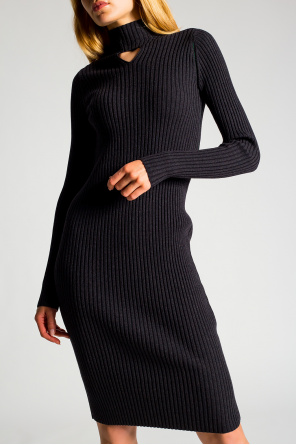 Bottega Veneta Fitted dress with mock neck