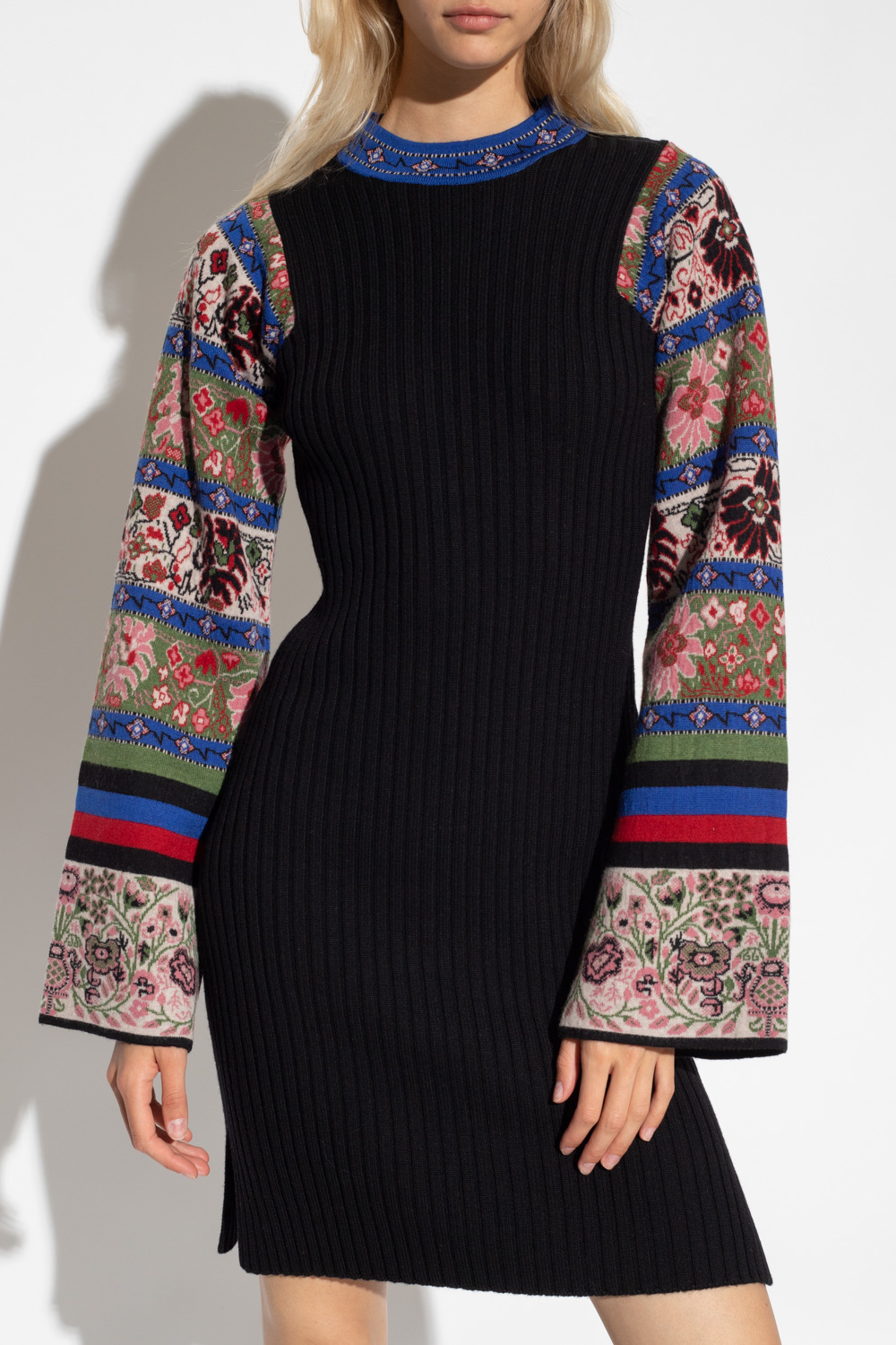 Etro Dress with patterned sleeves