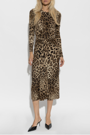 Dolce & Gabbana Vestido com padrão animal